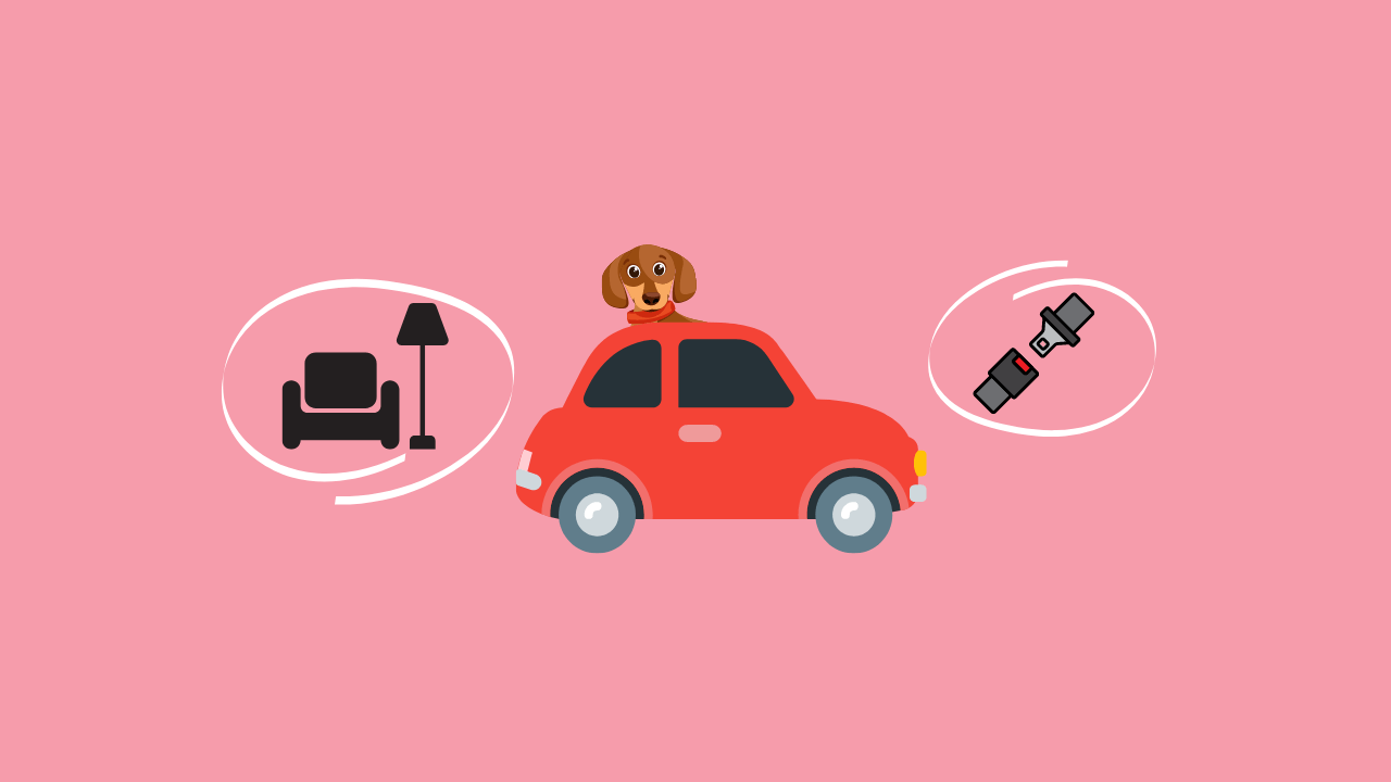 Beste Dackel-Autoausstattung 2026 – Sicher und entspannt ankommen