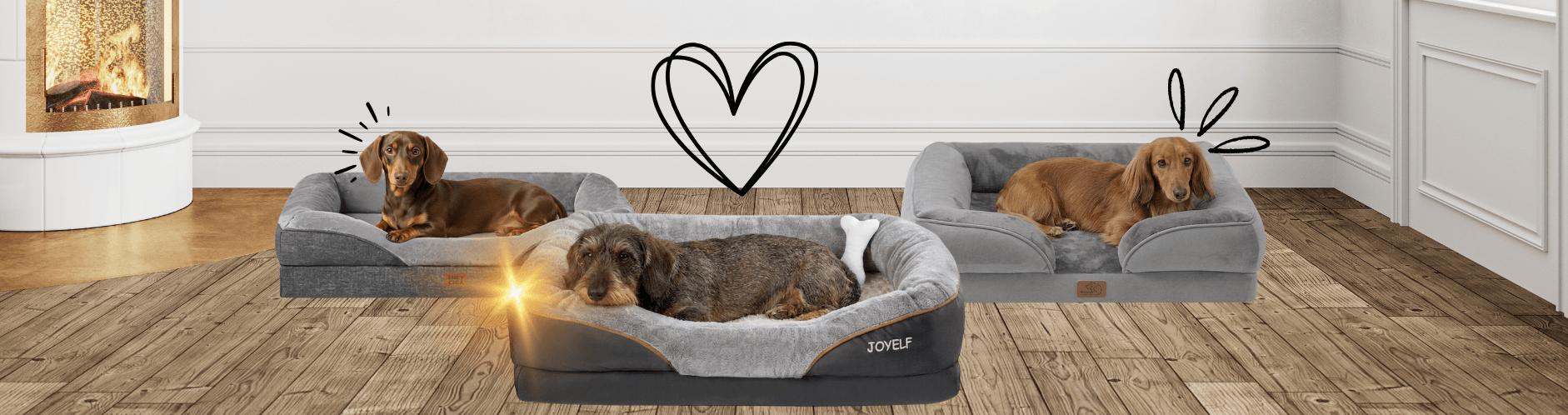Bestes orthopädisches Hundebett für Dackel 2026 – Rücken schützen, Gelenke schonen